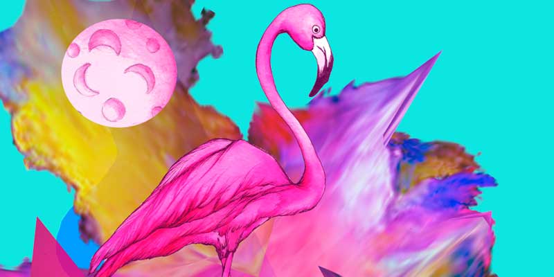 Diseño para Cosméticos Lush