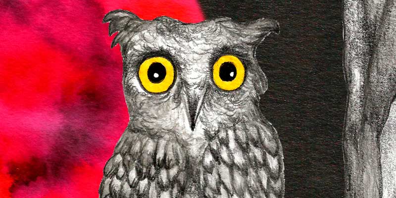 Libro ilustrado infantil