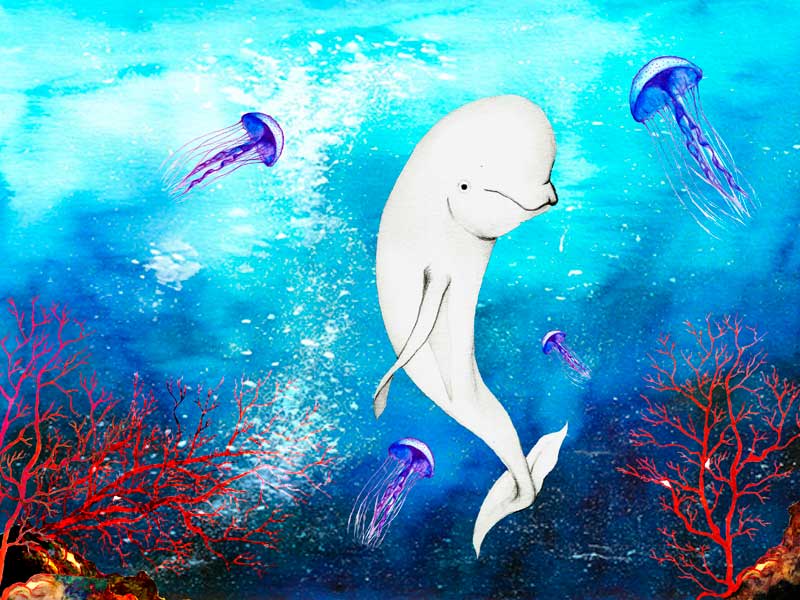 Libro ilustrado infantil - Belugo