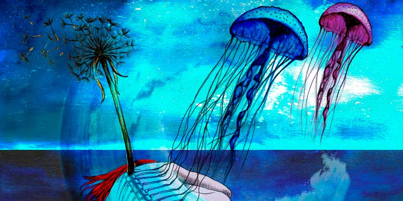 El círculo de la vida