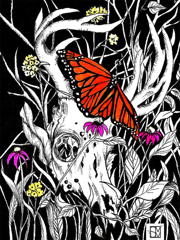 Obras - Mariposa y cráneo (2023)