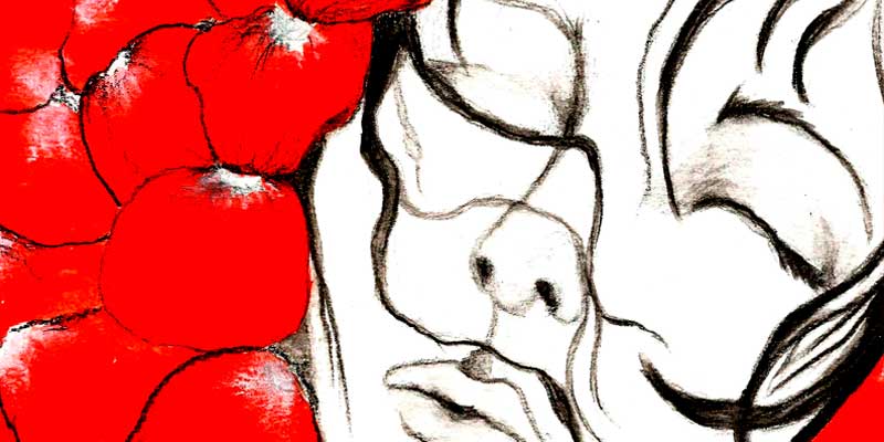 Merchandising "Sueño"