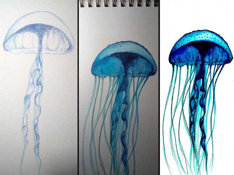 Circle of Life - Proceso creativo