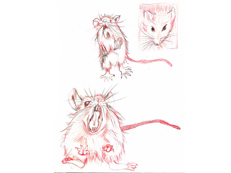 Album Ilustrado “La Cabeza del Perro” - Bocetos rata