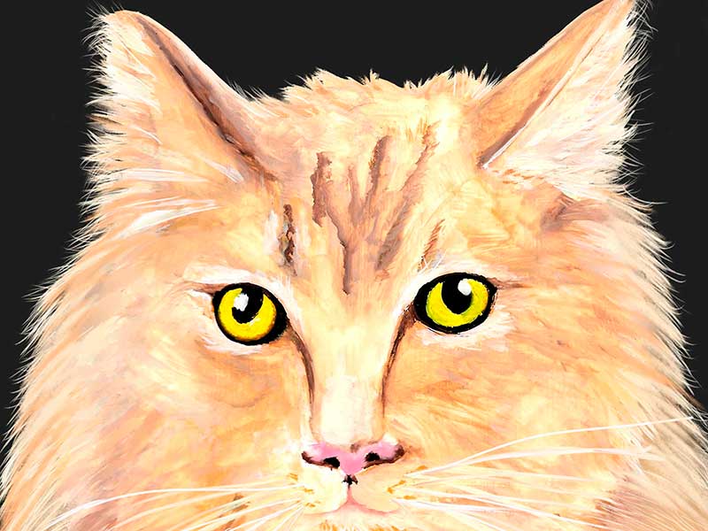 Pintar con gouache - Post-procesado con Photoshop